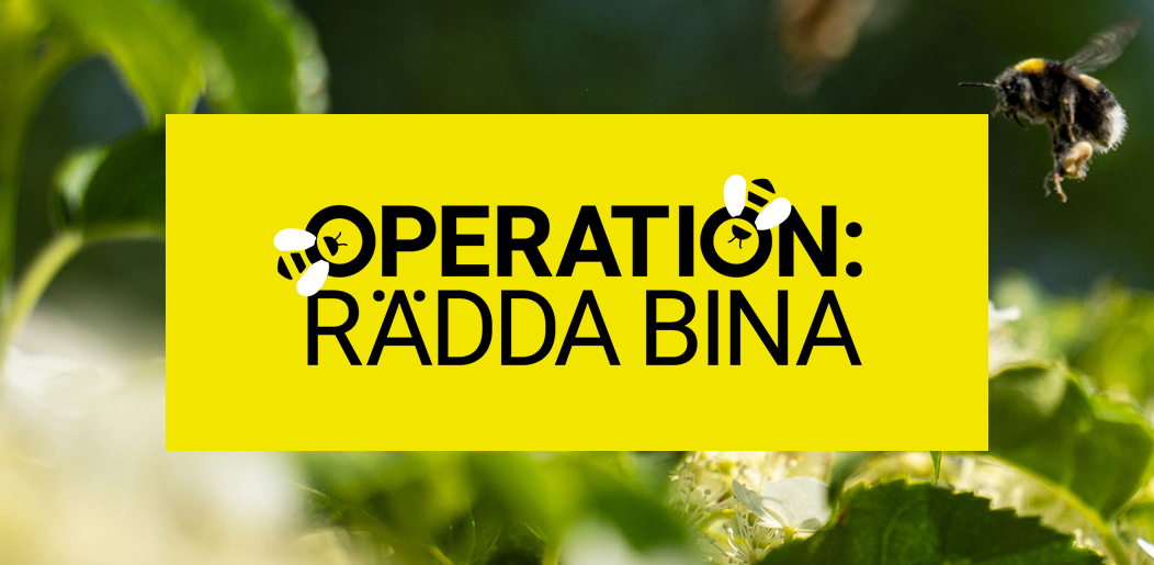 Operation: Rädda bina | Så din fröpåse - Naturskyddsföreningen