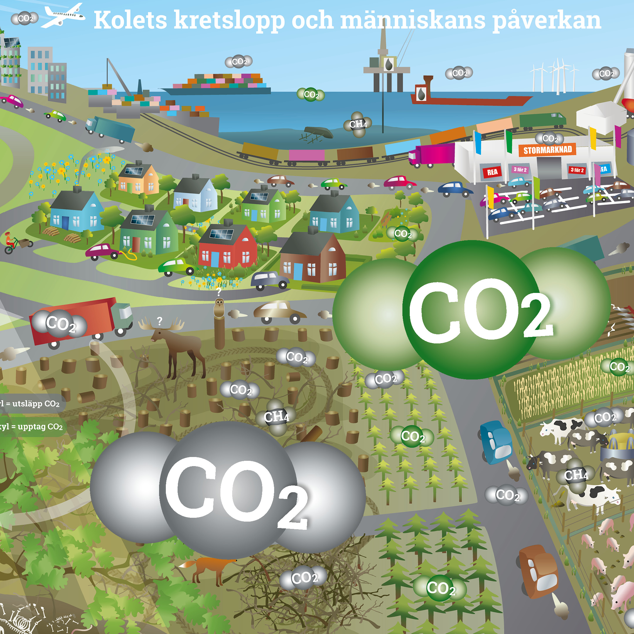 Koll på kol? (7-9, Gy) - Naturskyddsföreningen