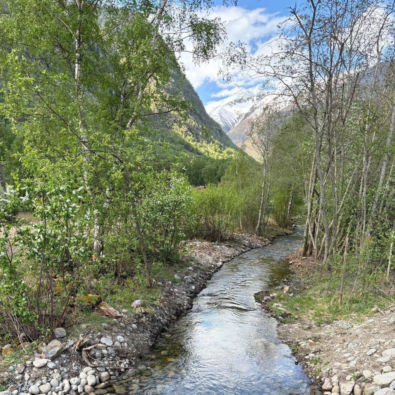 restoration-of-river-in-norway-benefits-wild-salmon-bra-milj-val