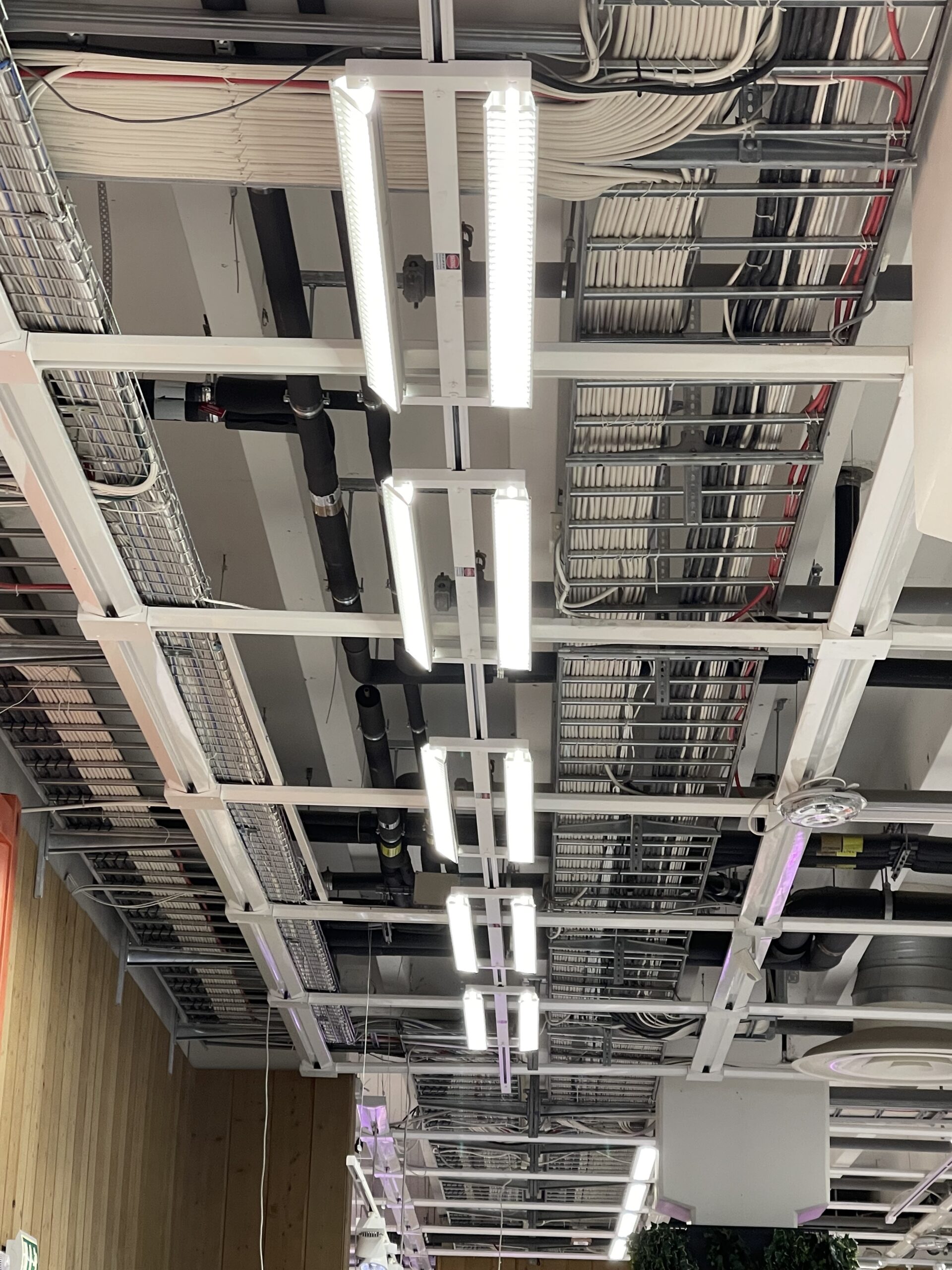 ICA Maxi Solna byter till LED - Bra Miljöval